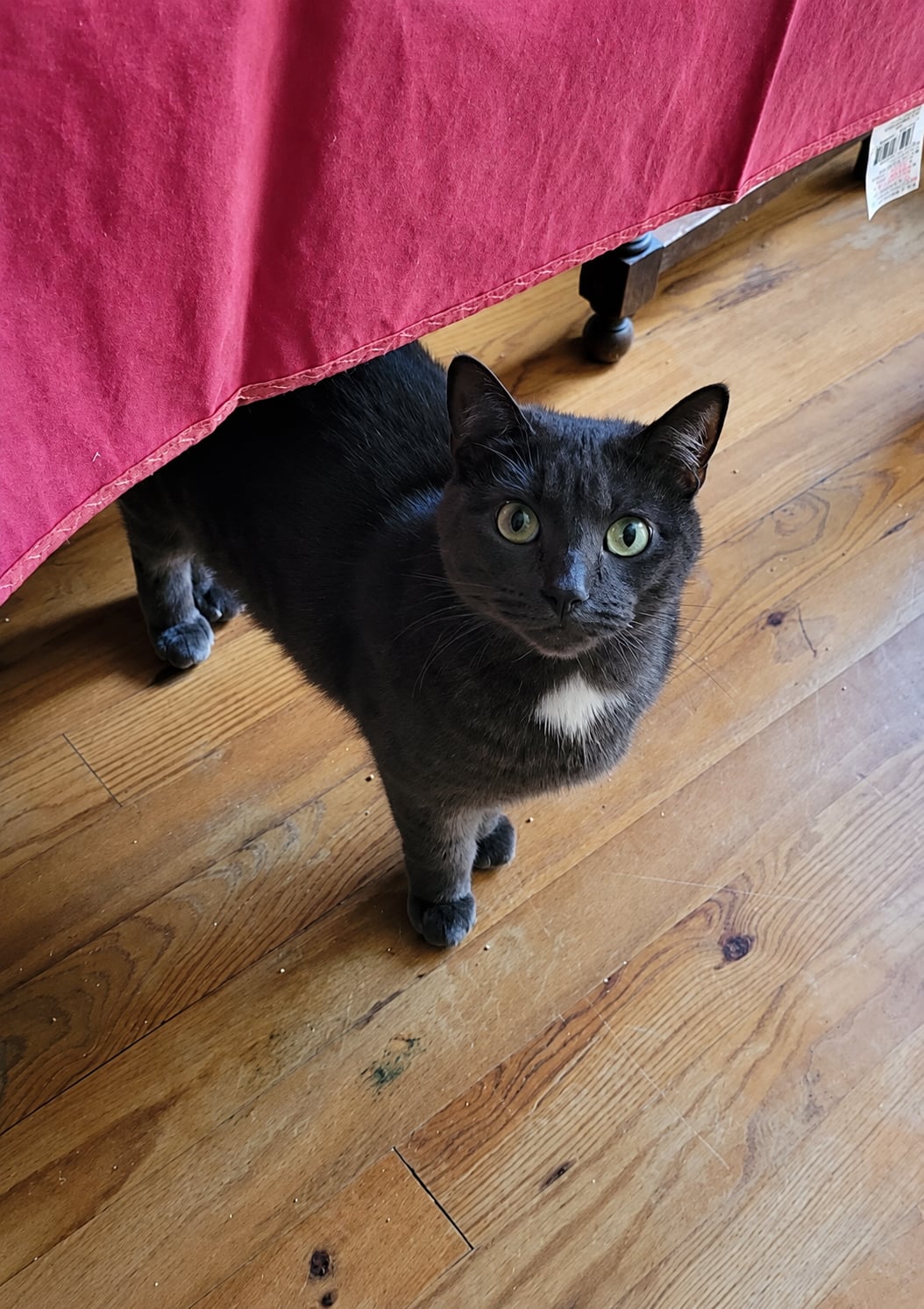Tina