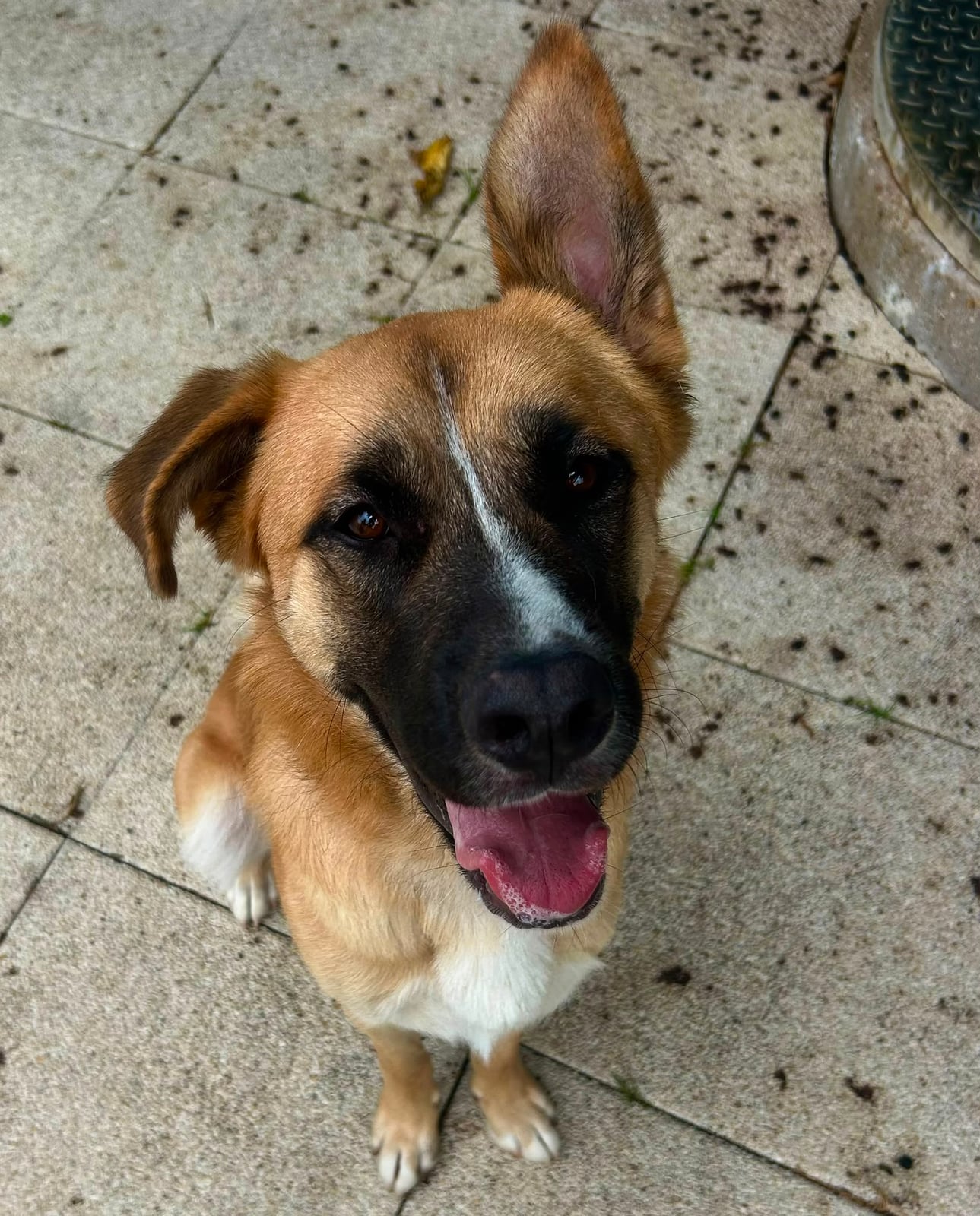Ragnar
